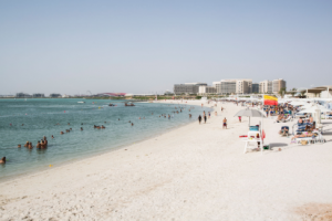 Daylight view of a beach with visitors