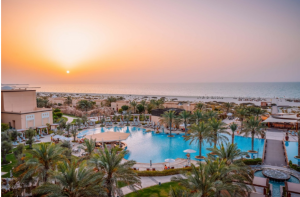 Overview of Saadiyat Rotana, featuring a vast open swimming pool surrounded by lush palm trees. 